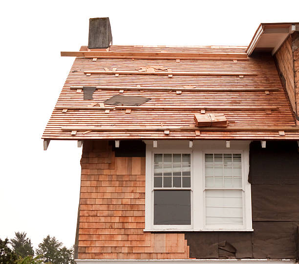 Affordable Siding Repair and Maintenance Services in Louise, TX